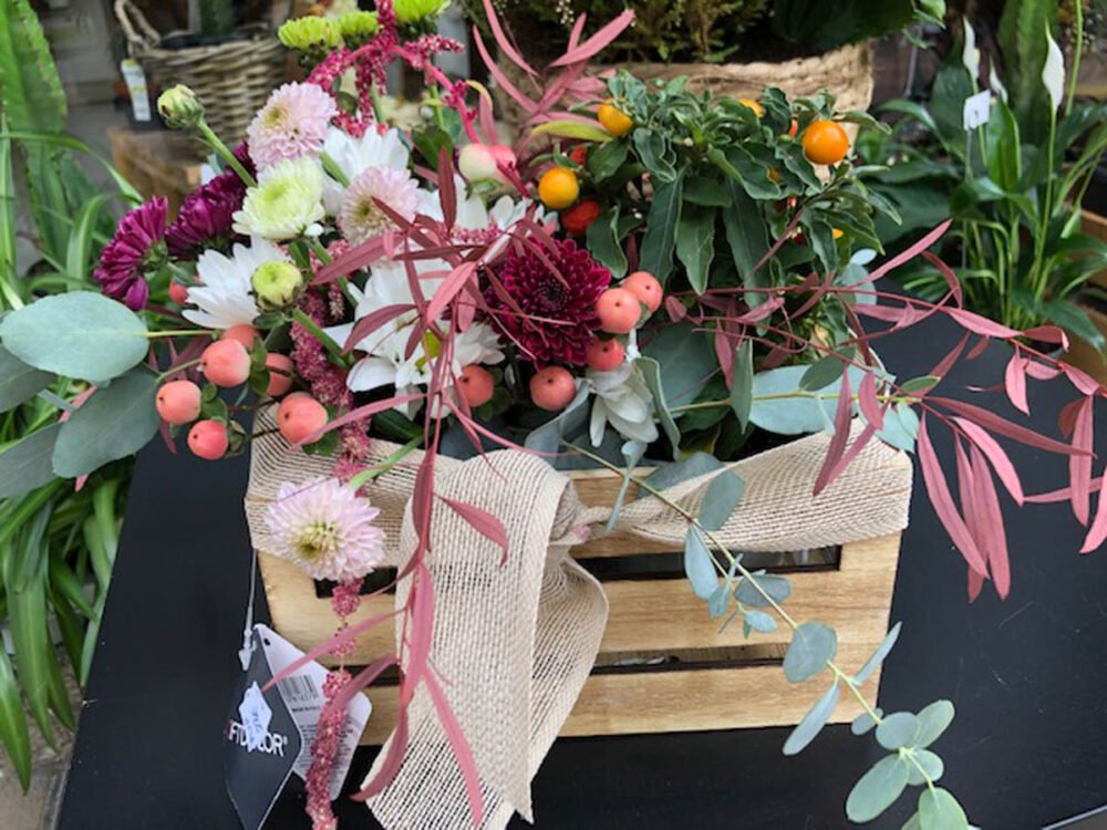 caja flores y plantas naturales